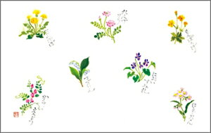 e[u}bg3308@t̉ PʁF1i100j Ɩp Lb`pi ~[pi H  H n엿