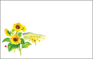 e[u}bg3315@Ђ܂ PʁF1i100j Ɩp Lb`pi ~[pi H  H n엿