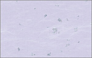 03313tӂ PʁF1i100j Ɩp Lb`pi ~[pi H  H n엿