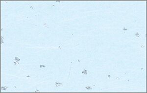 03333t炢 PʁF1i100j Ɩp Lb`pi ~[pi H  H n엿