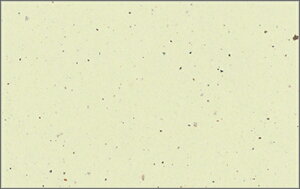 03943@R˂Ȃ PʁF1i100j Ɩp Lb`pi ~[pi H  H n엿