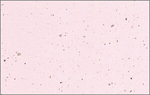 03953@R炢 PʁF1i100j Ɩp Lb`pi ~[pi H  H n엿