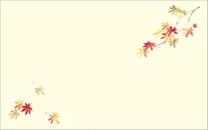 e[u}bg51224@gtiW_j PʁF1i100j Ɩp Lb`pi ~[pi H  H n엿