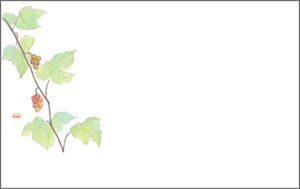 03693@Ԃǂ PʁF1i100j Ɩp Lb`pi ~[pi H  H n엿