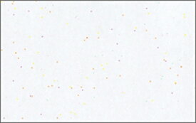 テーブルマット尺5＃1301　銀河 ◆ご注文単位：1冊（100枚入） 業務用 キッチン用品 厨房用品 食器 居酒屋 おしゃれ食器 創作料理