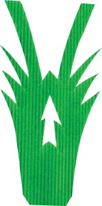 CV^BF2 PʁF1i1000j Ɩp Lb`pi ~[pi H  H n엿