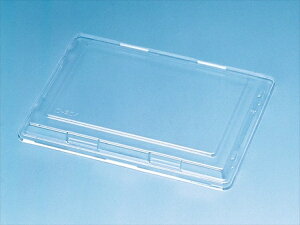 xv W D-25A PʁF1܁i50j Ɩp Lb`pi ~[pi H  H n엿