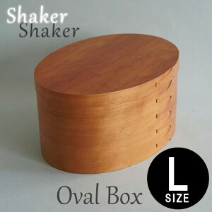 VF[J[I[o{bNX L i` HS2850  AXCIS ؐ Wt [{bNX [P[X ؖ Vv k CeA  ی` ~` I[o 킢 َq p