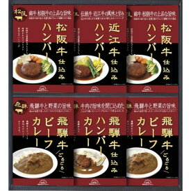 ポイント10倍 飛騨高山ファクトリー 松阪牛・近江牛・飛騨牛仕込みハンバーグ＆カレー詰合せ カレー・スープ 内祝い 結婚内祝い 出産内祝い 景品 結婚祝い 引き出物 香典返し クーポン配布中