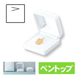 ナタリー ペントップケース P18NA