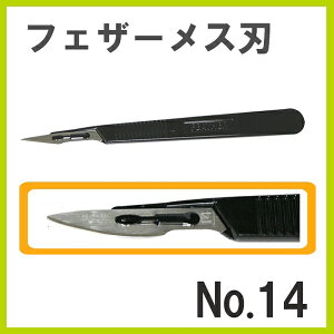 tFU[ Xn No.14 12P Obv