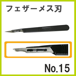 tFU[ Xn No.15 1P Obv