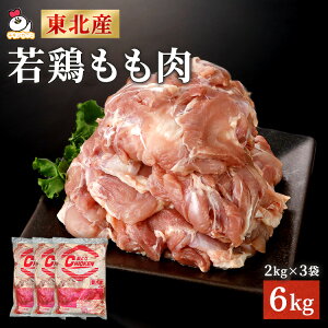 Y{ 6kg i2kg×3Pj 6L { Ƃ  Ɩp { {  {   Y Ⓚ e  g 炠 `L ƏĂ ٓ  o[xL[ ʔ d
