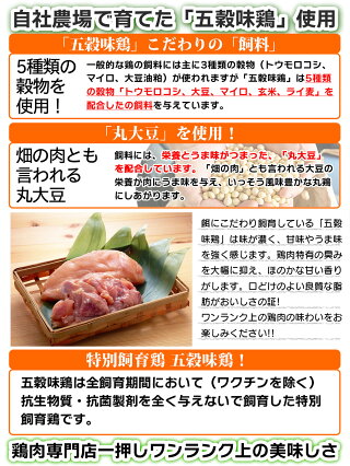 五穀味鶏ももねぎ串【青森県産】40g×20本【焼き鳥】【焼鳥】【ヤキトリ】【やきとり】【国産】【確認:総重量10kg毎に送料1口分加算】