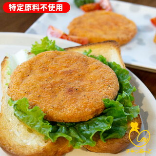 【7大アレルゲンフリー】国産若鶏フライドチキン(特定原料不使用)500g