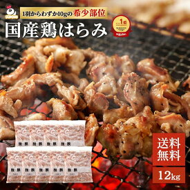 送料無料 国産 鶏 腹膜（はらみ）9kg（1kg×9P）鶏肉 希少部位 業務用 焼鳥 冷凍 ハラミ 鶏はらみ 焼肉 国産鶏肉 チキン ハラミ 鶏 焼肉 bbq バーベキュー 1キロ 国産 お取り寄せ