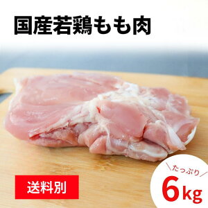 y9/19 20:00-9/24 1:59 P20{z Y{ 6kg i2kg×3Pj 6L { Ƃ  Ɩp { {  {   Y Ⓚ e  g 炠 `L ƏĂ ٓ  