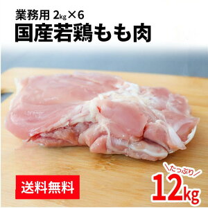 y9/19 20:00-9/24 1:59 P20{z  Ɩp Y{ 12kgi2kg×6) { Ƃ  Ɩp { { Ƃ {  Y Ⓚ e  g 炠 `L  o[
