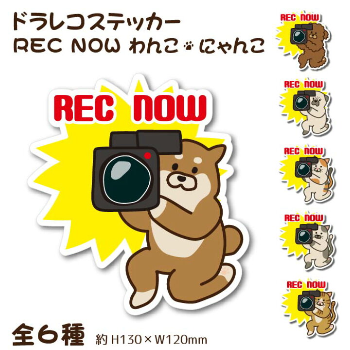 楽天市場 ドラレコ ステッカー わんこ にゃんこ 130 1mm Rec Now 犬 猫 イラスト かわいい ペット ドライブレコーダー あおり運転防止 セーフティーサイン 録画中 柴犬 プードル パグ 三毛猫 キジトラ カラーズshop楽天市場店