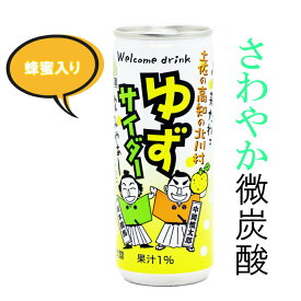 ポイント10倍【 お買い物マラソン 限定♪24日20時～27日9時59分まで】 北川村ゆず王国　ゆずサイダー (内容量250ml) 柚子 ゆず サイダー 高知 ジュース 飲料 お土産 缶じゅーす ゆず 柚子 炭酸 サイダー 高知 缶 微炭酸