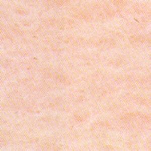 tFgr/tFg/Lbg/ȒP/|Ntg/ċx/HLbg tFgr(rуtFgj\bhNo.22i50gj