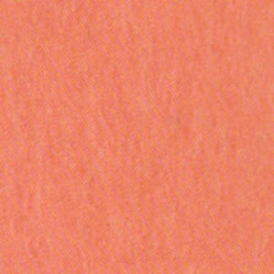 tFgr/tFg/Lbg/ȒP/|Ntg/ċx/HLbg tFgr(rуtFgj\bhNo.37i50gj