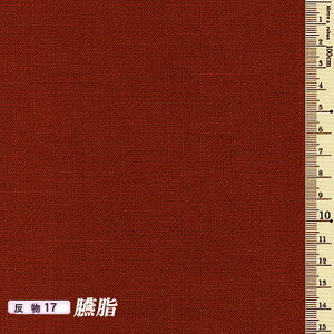 Âݖؖȁiܖj n(GWj 30cmȏ10cmPʂ̃JbgƂȂ܂B