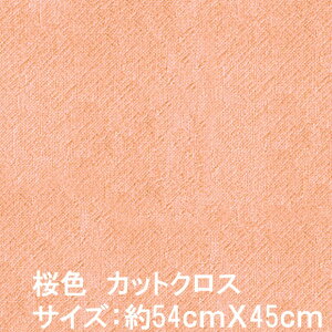 Ấ݂iܖjؖȃJbgNXn(Fj