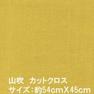 Ấ݂iܖjؖȃJbgNXn(Rj