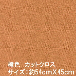 Ấ݂iܖjؖȃJbgNXn(Fj