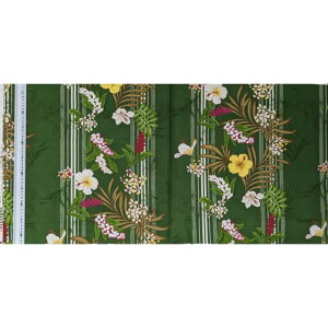 LV[iLV[}jnCAnIslandStyleKathyMomNqINo.213010cm̌liłi30cmȏ10cmPʁj