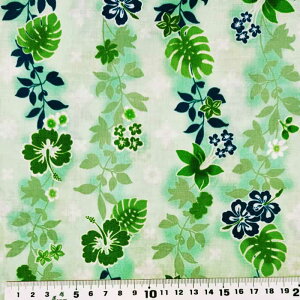 LV[iLV[}jnCAnIslandStyleKathyMomEAjGR14010cm̌liłi30cmȏ10cmPʁj