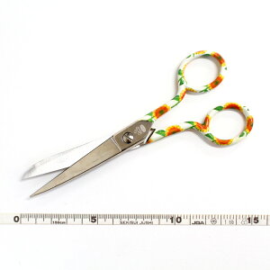 PREMAXC{[hイnT~ CG[ 15cm(C^Aj