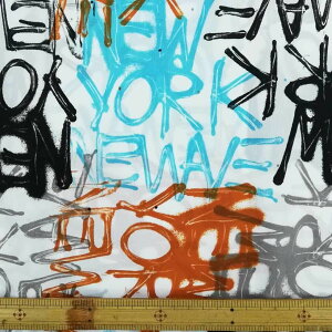 |GXe^t^n@NEWYORK͗l@140cm 1mJbg