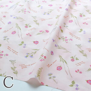 pb`[N nizjpb`[NRNV ԕ sNy30cmi3j10cmPʂŃJbg܂Bz