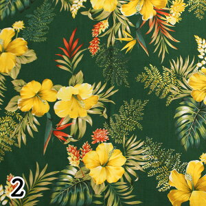 LV[iLV[}jnCAnIslandStyleKathyMom AJqR2GR(30cmȏ10cmP)