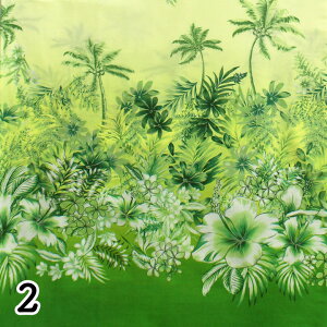 LV[iLV[}jnCAnIslandStyleKathyMom AkGkG2GR(30cmȏ10cmP)
