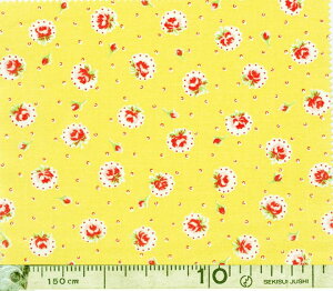 Rbgnizjnbs[bZ[W XJbvԕ CG[ 10cmP 30cm|3PʂJbg܂B