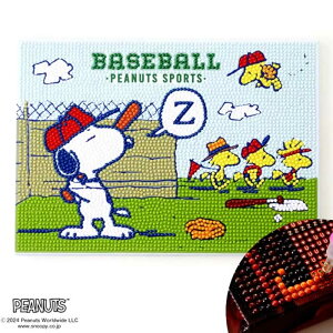  _ChtBbNX i DIAMOND FIXj Xk[s[ Base Ball r[YLbg () Xk[s[DF-B5-PN003