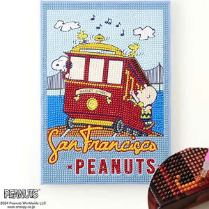  _ChtBbNX i DIAMOND FIXj Xk[s[ San Franciscor[YLbg () Xk[s[DF-B5-PN004