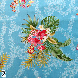 LV[iLV[}AChX^CjnCAnIslandStyleKathyMomivA02542-2@Be[WnCALgn(30cmȏ10cmP)