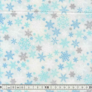 NX}XnizjXm[t[N ItzCg 1m