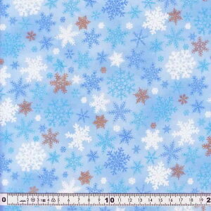 NX}XnizjXm[t[N@u[ 1m