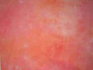 LV[n(ނ)nj_Ct@ubN6500-02[sN