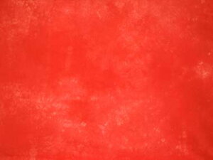 LV[n(ނ)nj_Ct@ubN6500-04nCrXJXbh