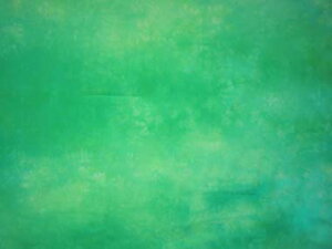 LV[n(ނ)nj_Ct@ubN6500-17EO[