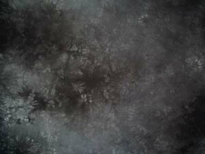 LV[n(ނ)nj_Ct@ubN6500-25GG