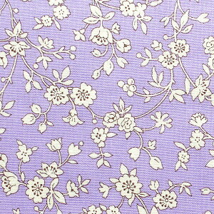 �}�X�N�̕\���n�ɂ��I���Ԏ��nMarcusfabricsUSA�v�����g���nAuntGrace�fsApron��110cm×10cm��170�~�i30cm�ȏォ��j