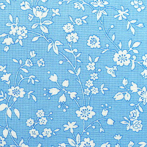 �}�X�N�̕\���n�ɂ��I���Ԑ��F�nMarcusfabricsUSA�v�����g���nAuntGrace�fsApron��110cm×10cm��170�~�i30cm�ȏォ��j