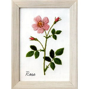 ؘaq hJLbg 12̐A蒟 Rosei[Yj